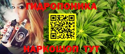 прущие грибы Краснознаменск
