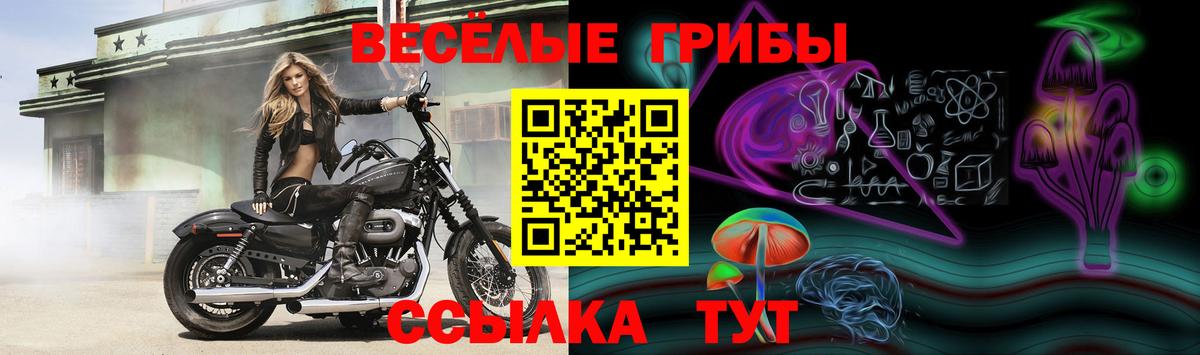 Кисловодск  что такое наркотик  Вход с VPN  Галлюциногенные грибы Magic Shrooms 